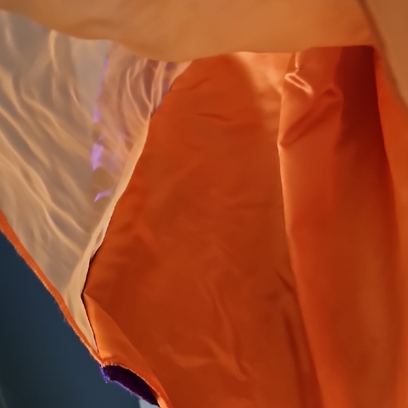 Purple and Orange Halloween Costume Dress with Princess Silhouette With WitchHat - Picture 5 of 8